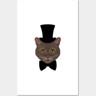 Еlegant Cat Posters and Art